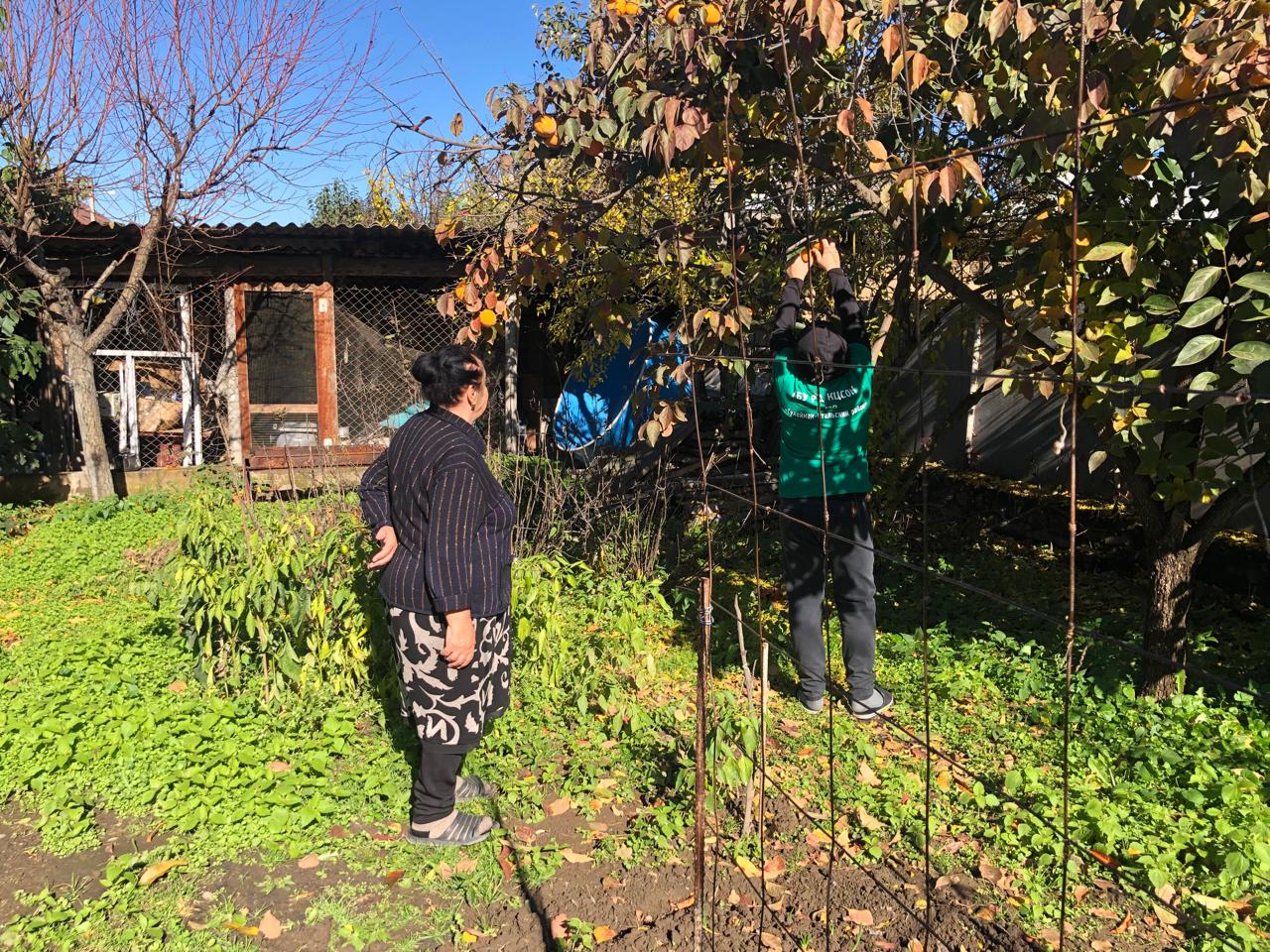 Помощь волонтеров пожилым гражданам